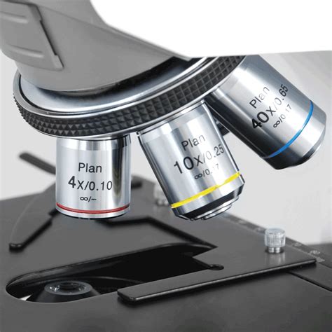 objective on a microscope